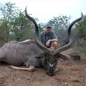 Kudu, RWS Safaris, Simbabwe