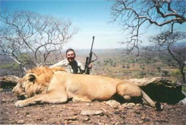 Löwenjagd Tansania