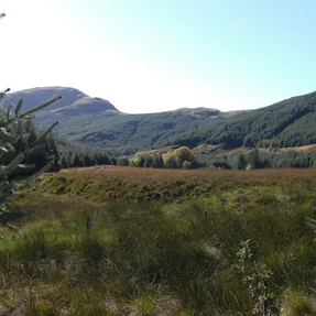 Landschaft Cowal, Schottland