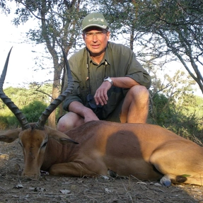Impala, RWS Safaris, Simbabwe
