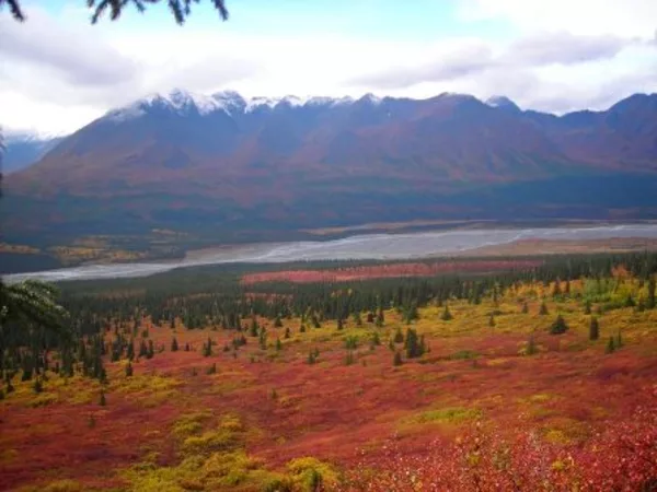 Landschaft Elchjagd Alaska