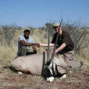 Oryx, Omujeve Safaris, Namibia