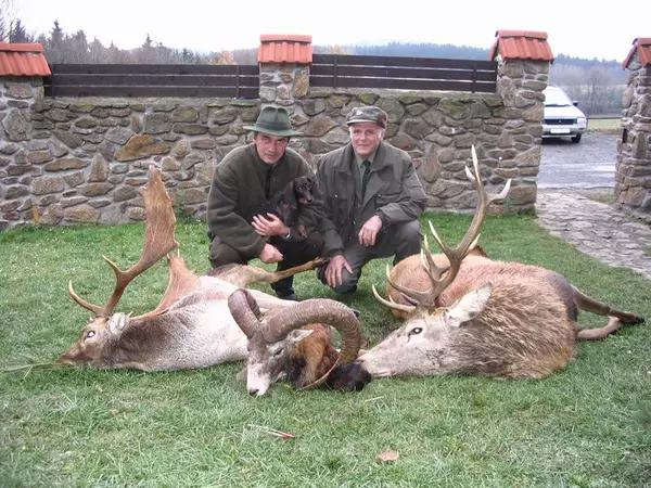 Jagd in Tschechien