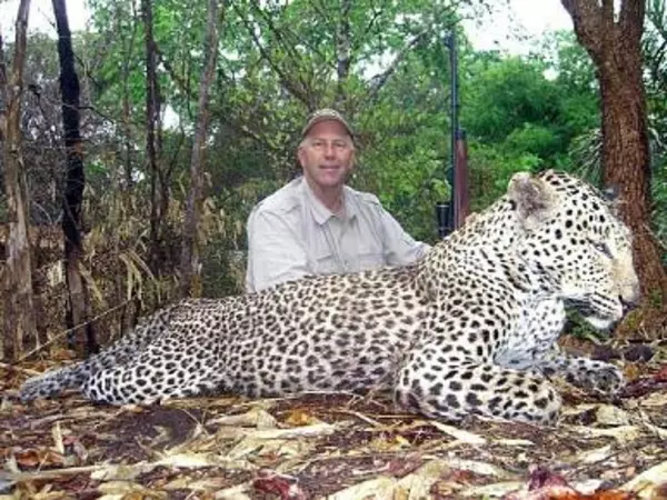 Leopard Marameo Safaris Mosambik