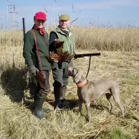 Jagd mit eigenem Hund, Ungarn