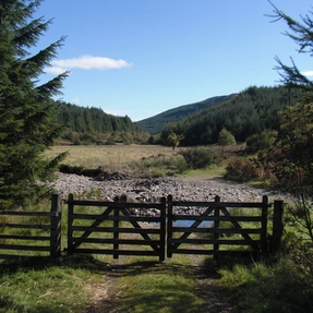  Landschaft Cowal, Schottland