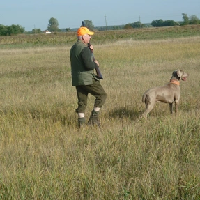 Buschierjagd mit eigenem Hund, Ungarn