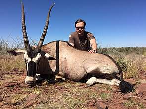 Oryx jagen Namibia