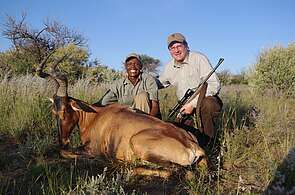 Hartebeest jagen Namibia