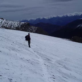 Bergpirsch im Schnee, NWT, Kanada