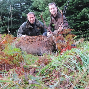 erfolgreiche Jagd in Crianlarich, Schottland