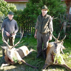 2 Hirsche aus Ladek Zdroj, Schlesien, Polen