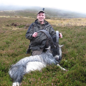 Jagd auf Wildziege in Schottland