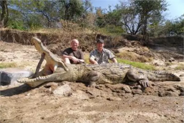 Krokodil Roger Whittall Safaris