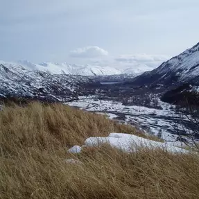 Jagdgebiet Bärenjagd, Kodiak, AK