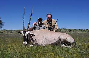 Oryx jagen Namibia