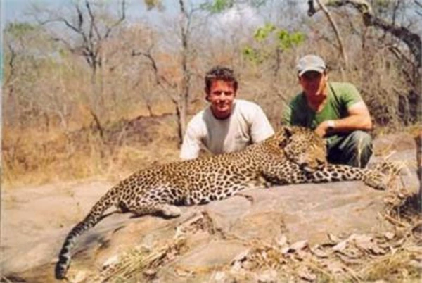 Jagd auf Leopard in Tansania